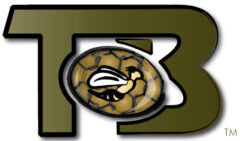 TurtleBeehive